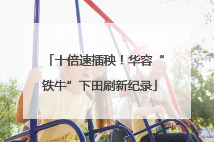 十倍速插秧！华容“铁牛”下田刷新纪录