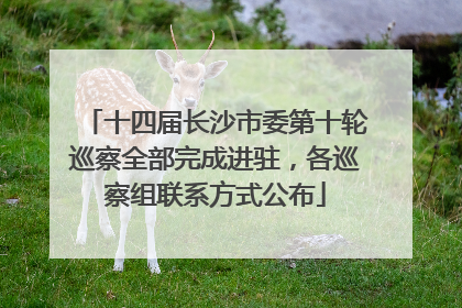 十四届长沙市委第十轮巡察全部完成进驻，各巡察组联系方式公布
