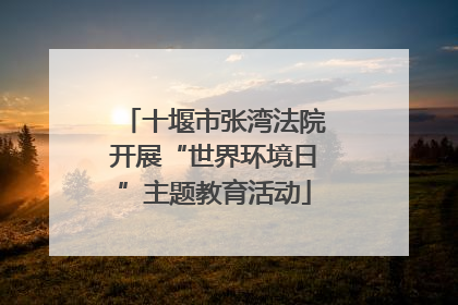 十堰市张湾法院开展“世界环境日”主题教育活动