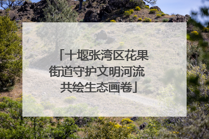 十堰张湾区花果街道守护文明河流 共绘生态画卷