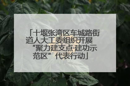 十堰张湾区车城路街道人大工委组织开展 “聚力建支点·建功示范区”代表行动