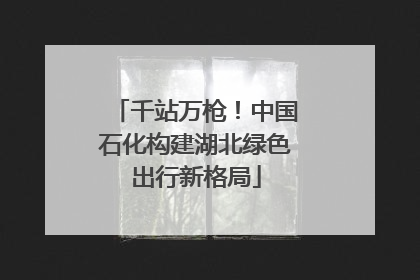 千站万枪！中国石化构建湖北绿色出行新格局