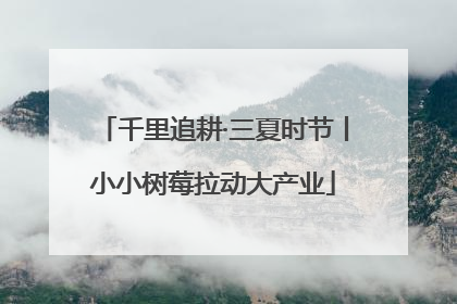 千里追耕·三夏时节丨小小树莓拉动大产业