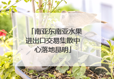 南亚东南亚水果进出口交易集散中心落地昆明