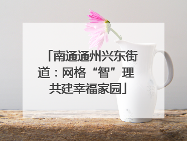 南通通州兴东街道：网格“智”理 共建幸福家园