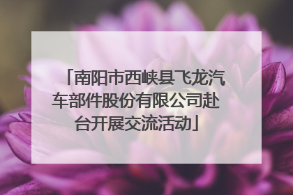 南阳市西峡县飞龙汽车部件股份有限公司赴台开展交流活动