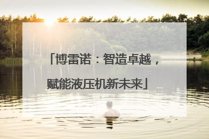 博雷诺：智造卓越，赋能液压机新未来