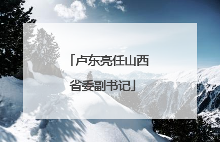 卢东亮任山西省委副书记