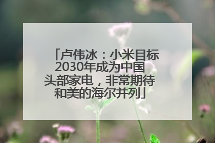 卢伟冰：小米目标2030年成为中国头部家电，非常期待和美的海尔并列