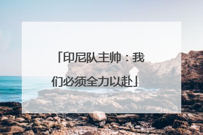 印尼队主帅：我们必须全力以赴