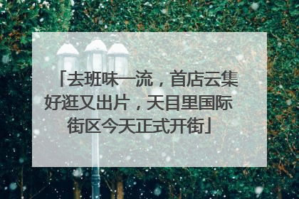 去班味一流，首店云集好逛又出片，天目里国际街区今天正式开街