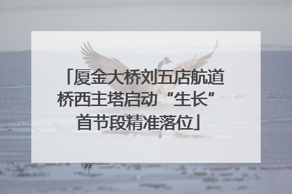 厦金大桥刘五店航道桥西主塔启动“生长” 首节段精准落位