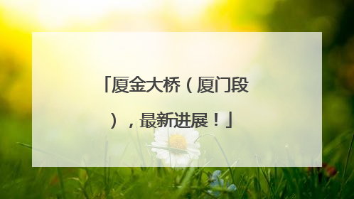 厦金大桥（厦门段），最新进展！