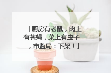 厨房有老鼠，肉上有苍蝇，菜上有虫子，市监局：下架！