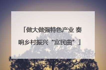 做大做强特色产业 奏响乡村振兴“富民曲”