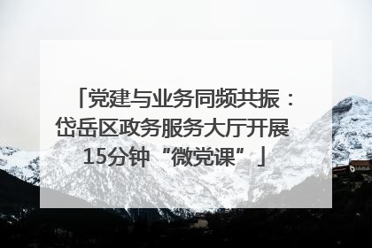 党建与业务同频共振：岱岳区政务服务大厅开展15分钟“微党课”