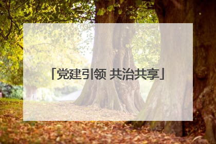 党建引领 共治共享