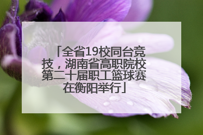 全省19校同台竞技，湖南省高职院校第二十届职工篮球赛在衡阳举行