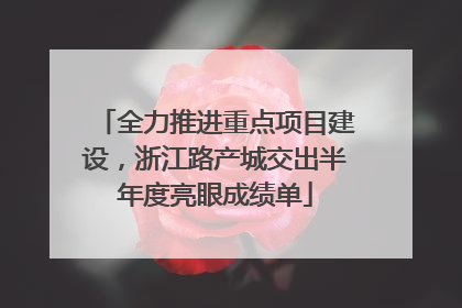 全力推进重点项目建设，浙江路产城交出半年度亮眼成绩单