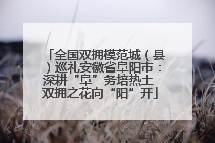 全国双拥模范城（县）巡礼安徽省阜阳市：深耕“阜”务培热土 双拥之花向“阳”开