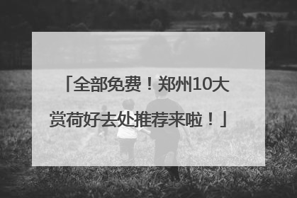 全部免费！郑州10大赏荷好去处推荐来啦！