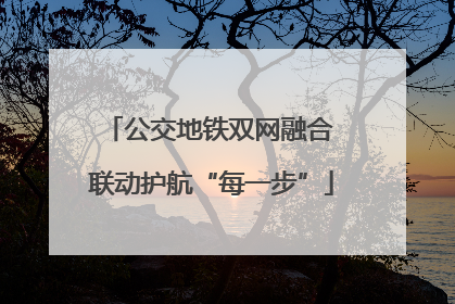 公交地铁双网融合 联动护航“每一步”