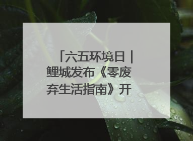 六五环境日｜鲤城发布《零废弃生活指南》开启露营新玩法