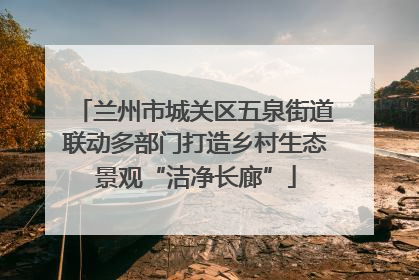 兰州市城关区五泉街道联动多部门打造乡村生态景观“洁净长廊”