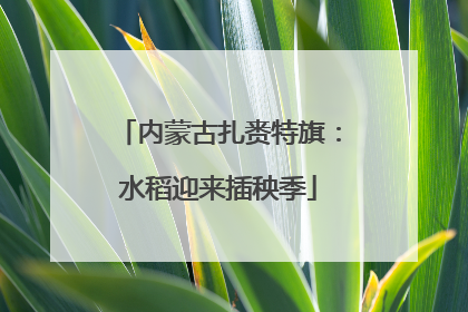 内蒙古扎赉特旗：水稻迎来插秧季