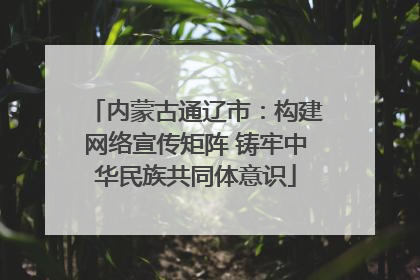 内蒙古通辽市：构建网络宣传矩阵 铸牢中华民族共同体意识