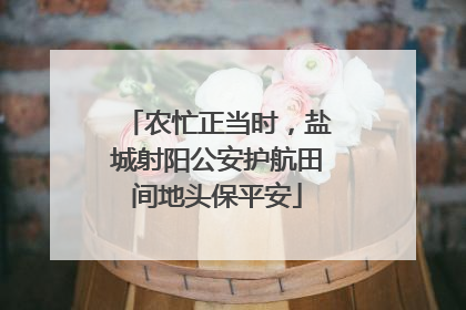 农忙正当时，盐城射阳公安护航田间地头保平安
