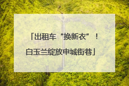 出租车“换新衣”！白玉兰绽放申城街巷