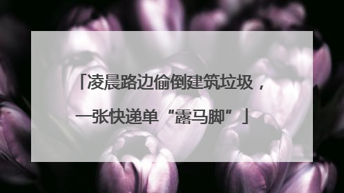 凌晨路边偷倒建筑垃圾，一张快递单“露马脚”
