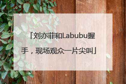 刘亦菲和Labubu握手，现场观众一片尖叫