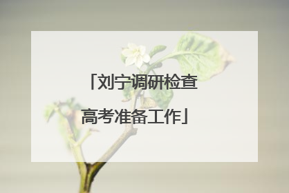 刘宁调研检查高考准备工作