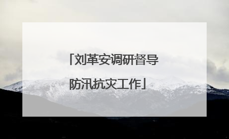 刘革安调研督导防汛抗灾工作