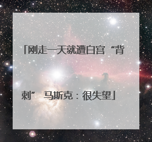 刚走一天就遭白宫“背刺” 马斯克：很失望