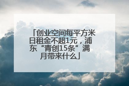 创业空间每平方米日租金不超1元，浦东“青创15条”满月带来什么