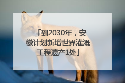 到2030年，安徽计划新增世界灌溉工程遗产1处