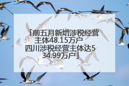前五月新增涉税经营主体48.15万户 四川涉税经营主体达534.99万户