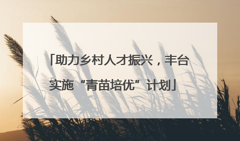 助力乡村人才振兴，丰台实施“青苗培优”计划