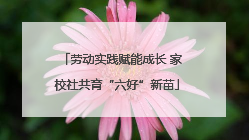劳动实践赋能成长 家校社共育“六好”新苗