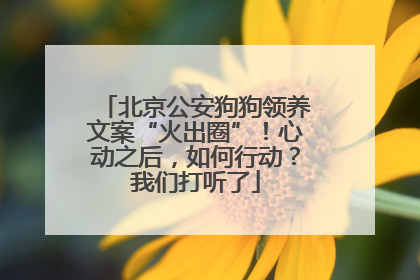 北京公安狗狗领养文案“火出圈”！心动之后，如何行动？我们打听了