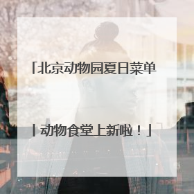 北京动物园夏日菜单丨动物食堂上新啦！