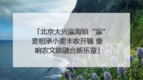北京大兴瀛海镇“瀛”麦相承小麦丰收开镰 奏响农文旅融合新乐章