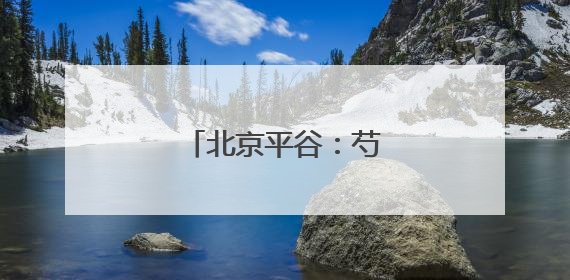 北京平谷：芍药花开迎客来