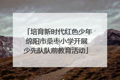 培育新时代红色少年 绵阳市桑枣小学开展少先队队前教育活动