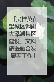 吴桂英在望城区调研大泽湖片区建设、文科旅医融合发展等工作