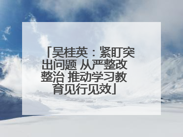 吴桂英：紧盯突出问题 从严整改整治 推动学习教育见行见效
