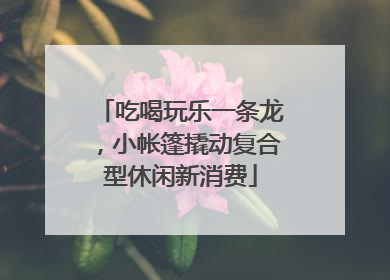 吃喝玩乐一条龙，小帐篷撬动复合型休闲新消费